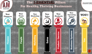 7 pillars to a healthy thriving business