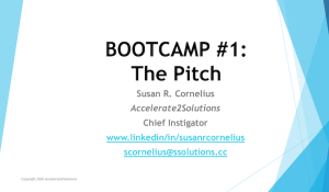 virtual startup bootcamp - the pitch